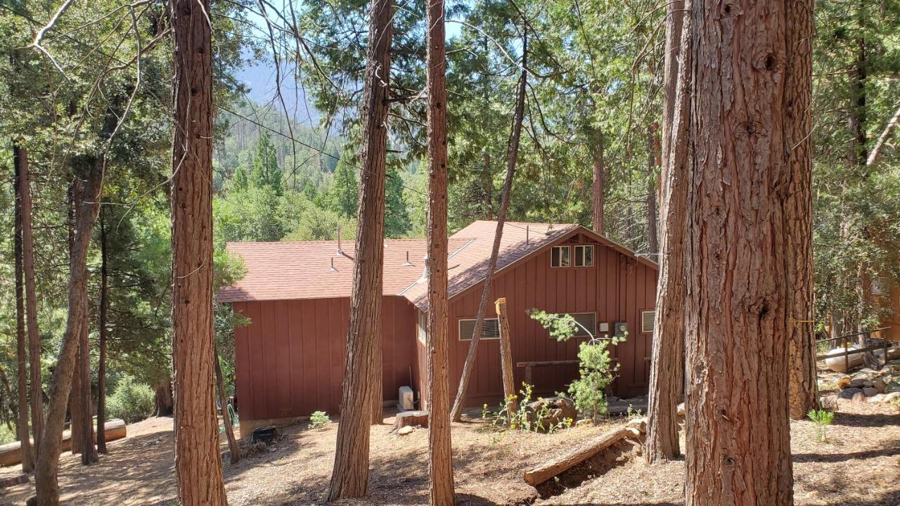 Redwood Retreat, Mountains, Adventure And Nature Ponderosa Exterior photo