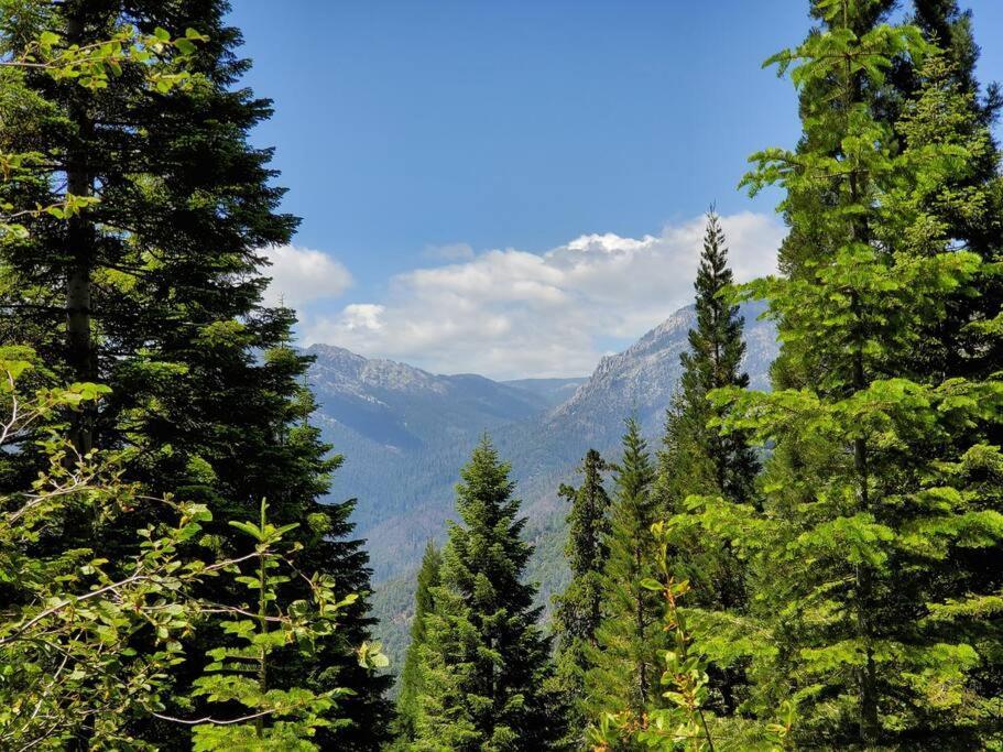Redwood Retreat, Mountains, Adventure And Nature Ponderosa Exterior photo