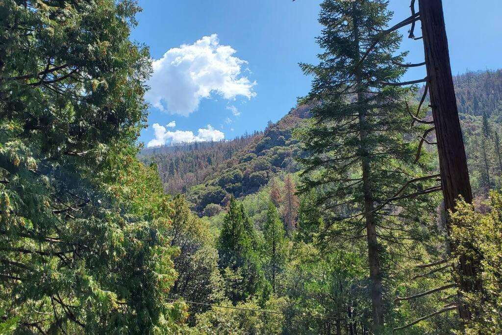 Redwood Retreat, Mountains, Adventure And Nature Ponderosa Exterior photo
