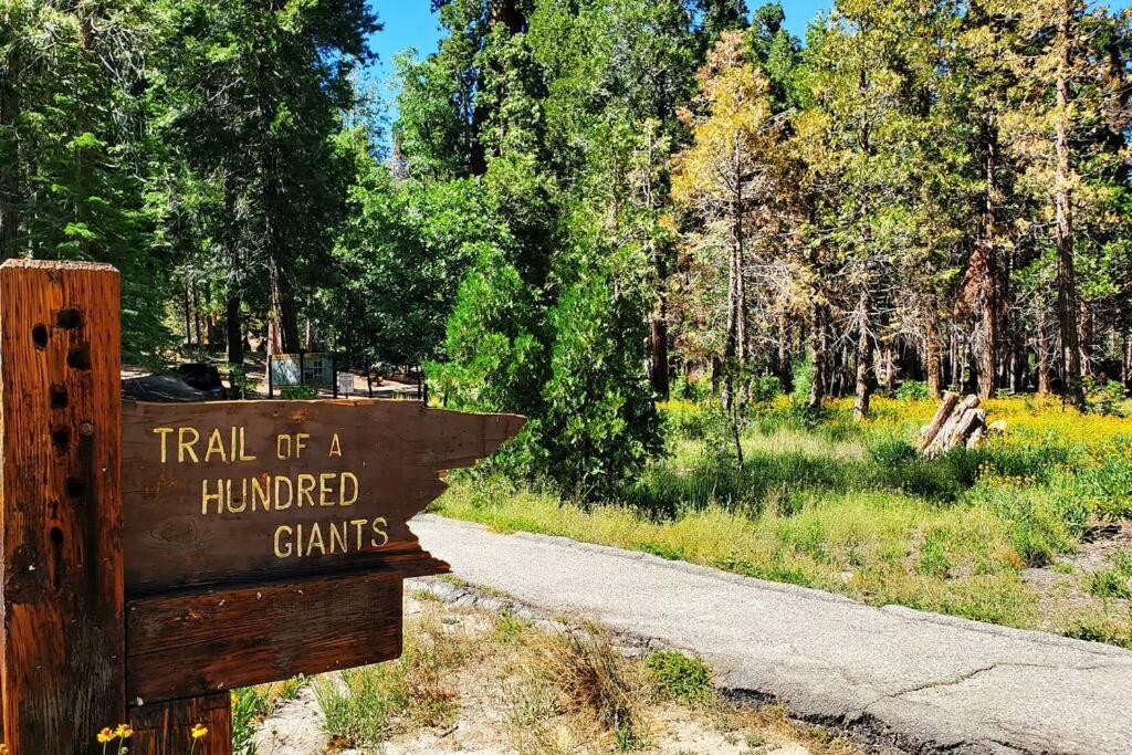 Redwood Retreat, Mountains, Adventure And Nature Ponderosa Exterior photo